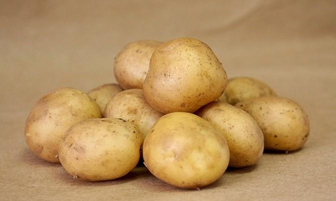 картофель удача