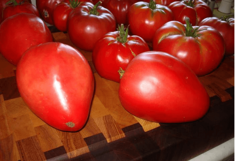 томат мазарини