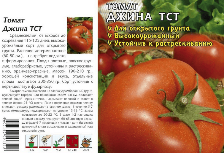томат джина