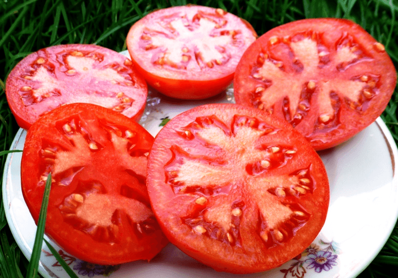 томат белый налив