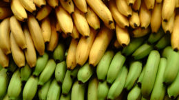 бананы польза и вред