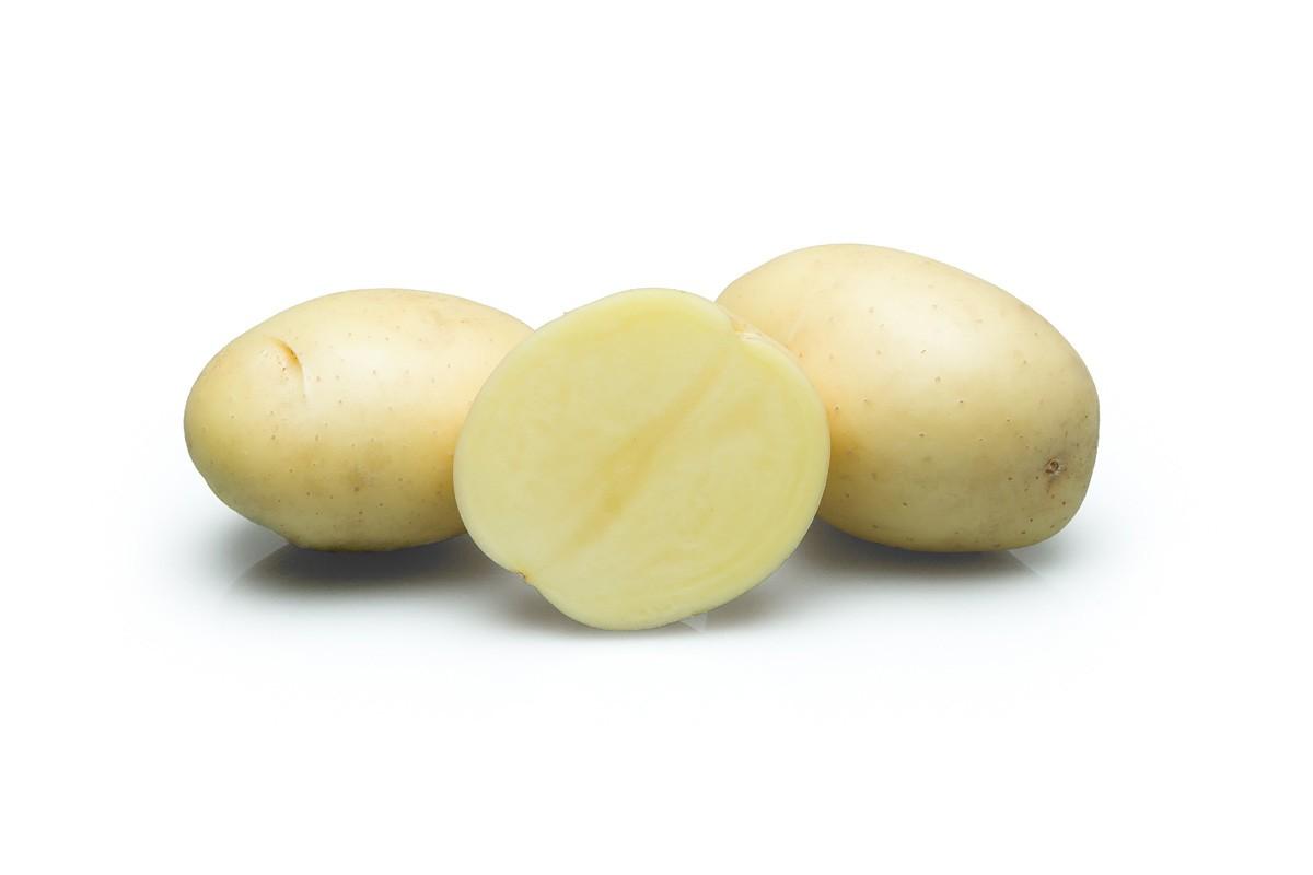 картофель лабадия