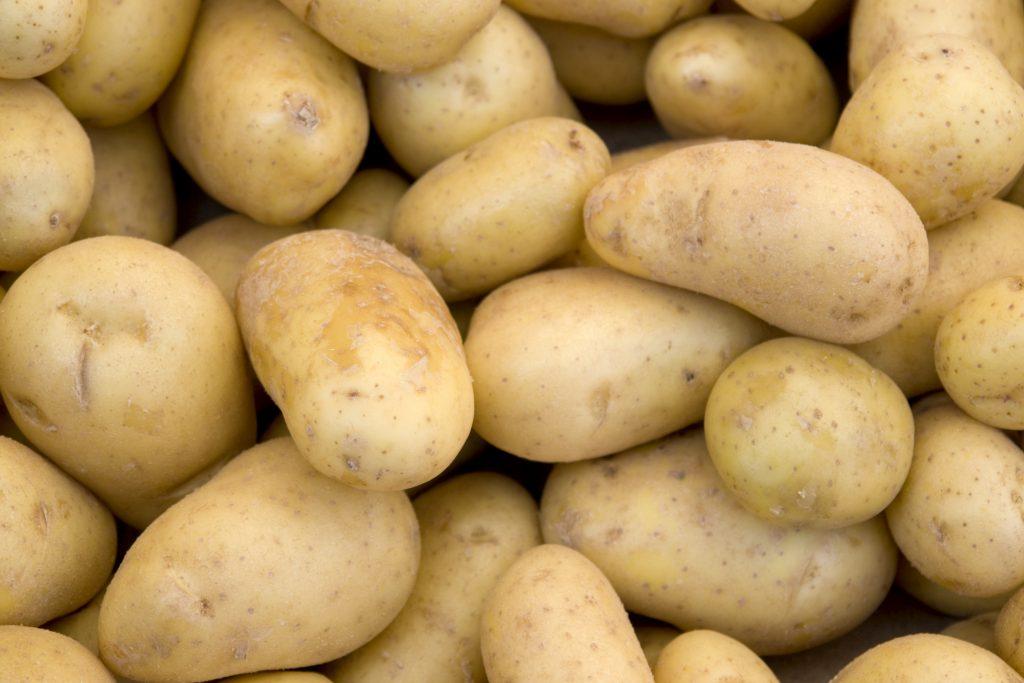 картофель агата