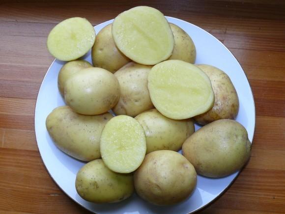 картофель маделина